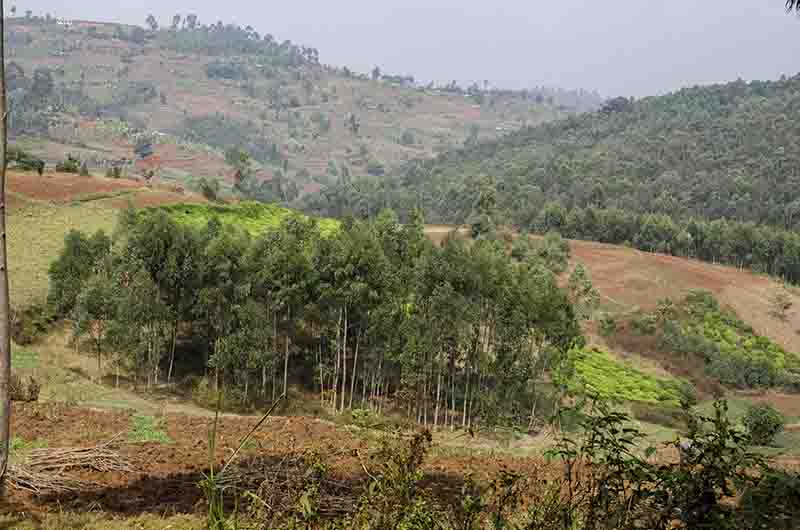 68 - Ruanda - paisaje